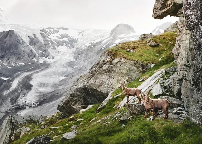 Hallstatt Self Check In 住宿加早餐酒店 *